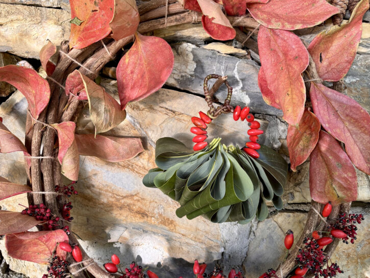 Decorazioni per le feste: proviamo coi vegetali?