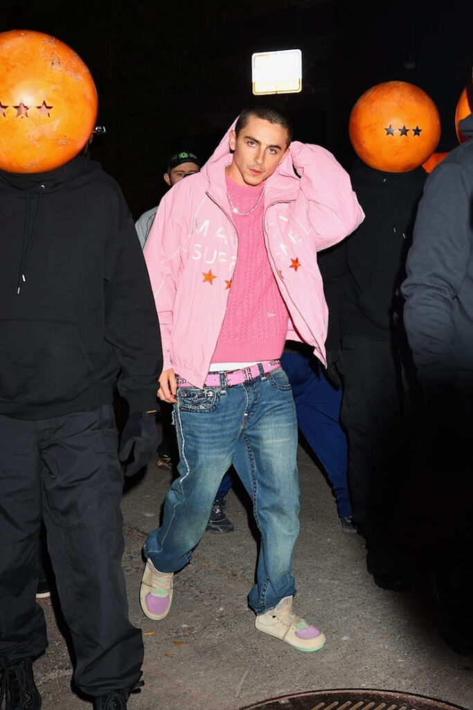 Timothée Chalamet indossa un giubbino e un maglione rosa begonia