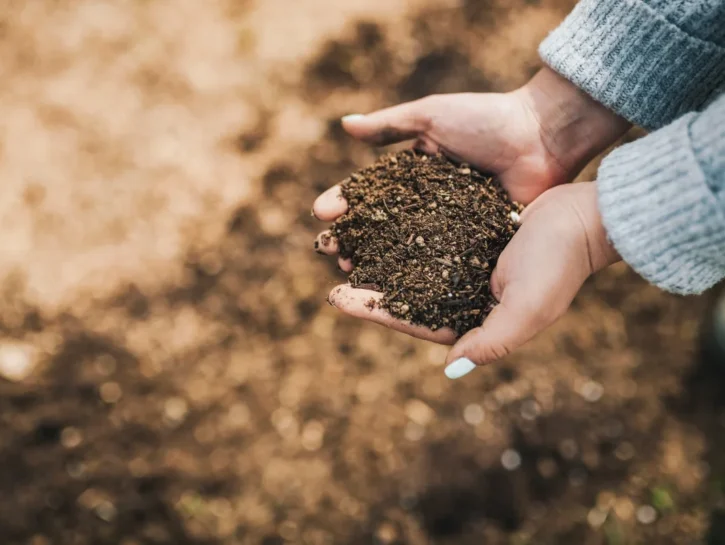 I microbi del suolo influenzano le emozioni: ecco lo studio australiano