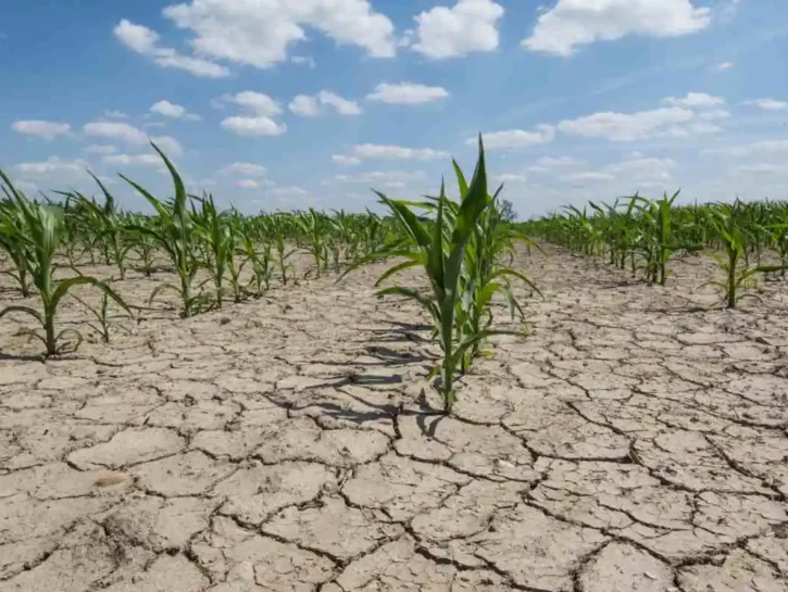 Cambiamento climatico, il 2025 rischia di diventare il secondo anno più caldo mai registrato