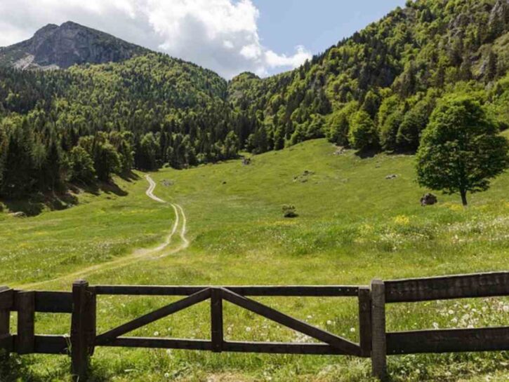 Qualità della vita 2025: Trento è la città dove si vive meglio in Italia