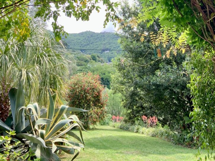 Un giardino per ogni pianta e una pianta per ognuno di noi