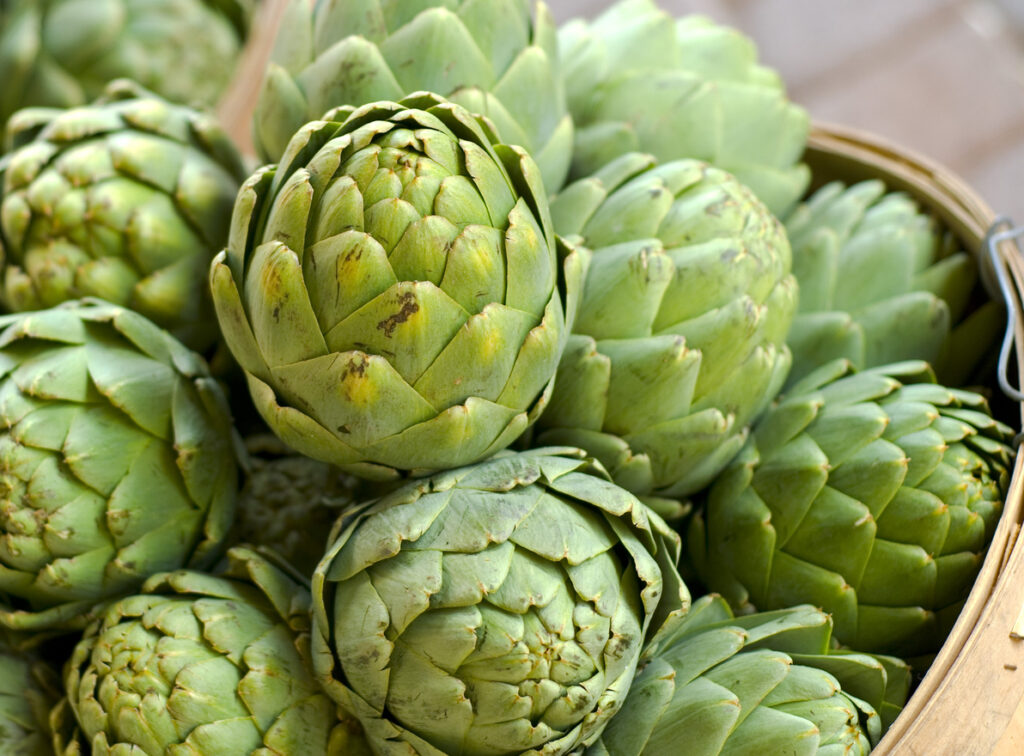 Carciofi romani verdi freschi