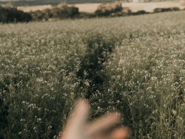 Tu ce la vedi tua madre in un cohousing?
