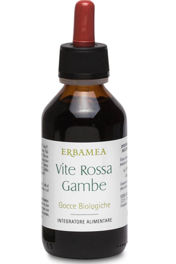 Erbamea