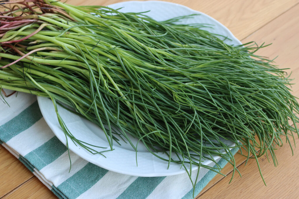 Agretti