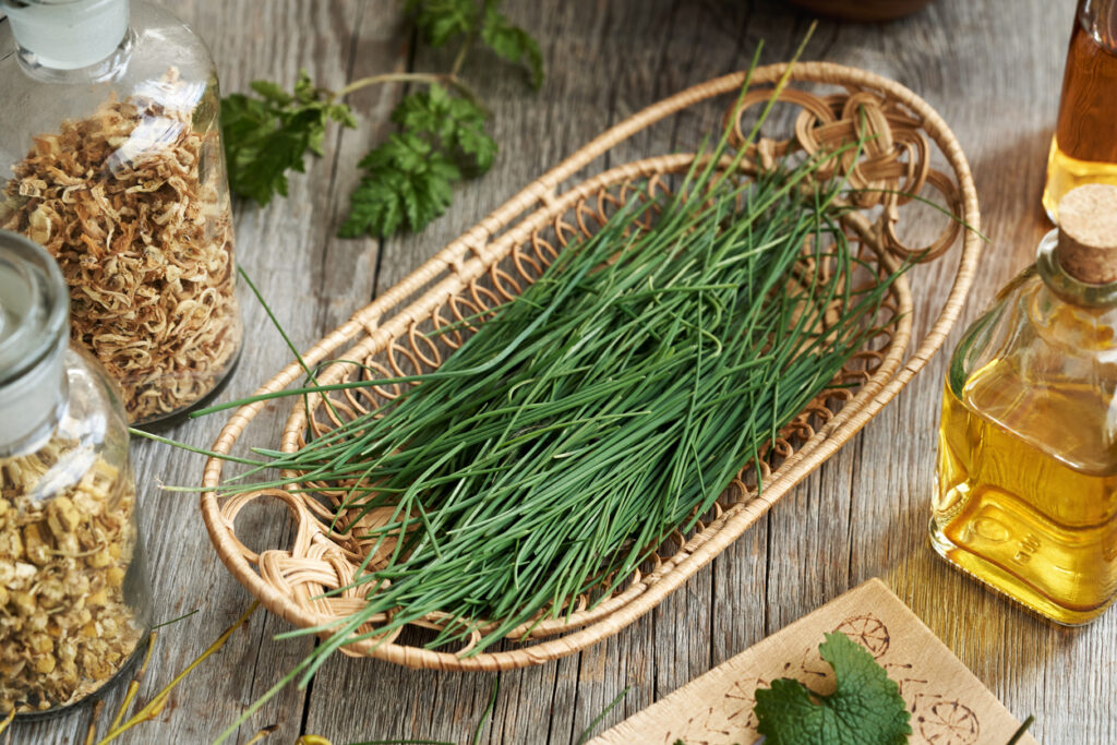Agretti freschi in cesta