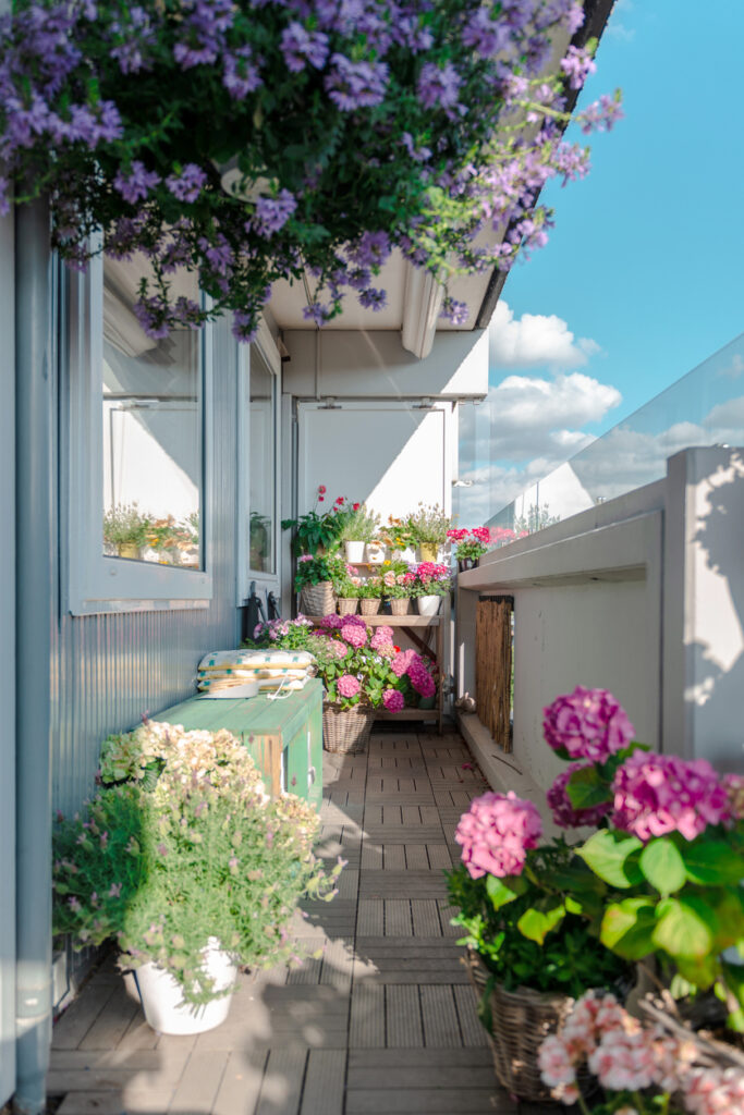 balcone stretto e lungo pieno di fiori e piante