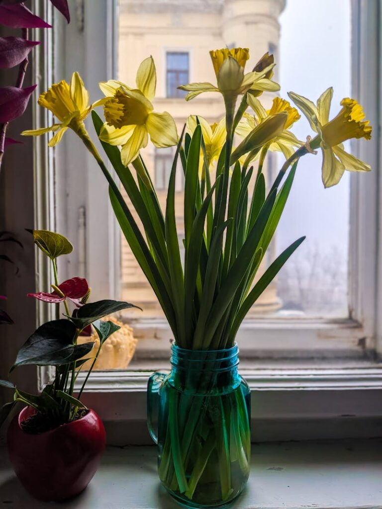 fiori gialli in un vaso in casa