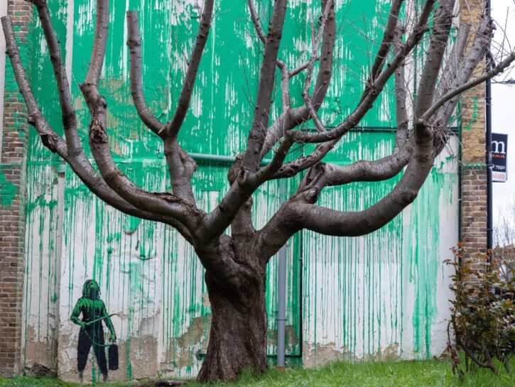 Caro Banksy, il tuo segreto lo custodiremo noi