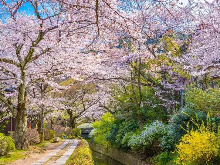 Le strade più belle del mondo: le 20 da scoprire secondo il 