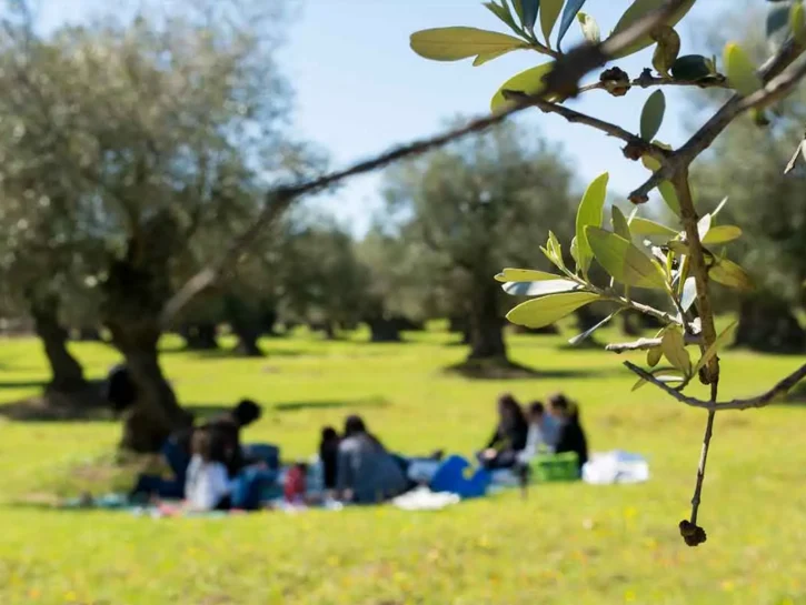 Previsioni Pasqua e Pasquetta 2026: il ribaltone del meteo
