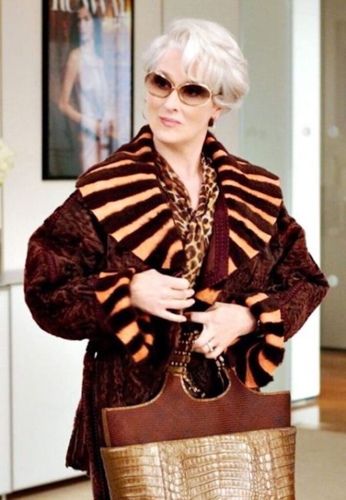 Miranda ne Il diavolo veste Prada