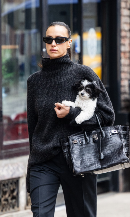 Pet beauty: i cosmetici per animali (da scegliere e da evitare)