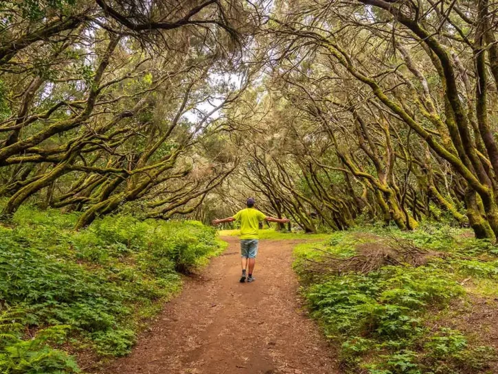 Turismo a piedi, gli itinerari più belli del mondo secondo Lonely Planet