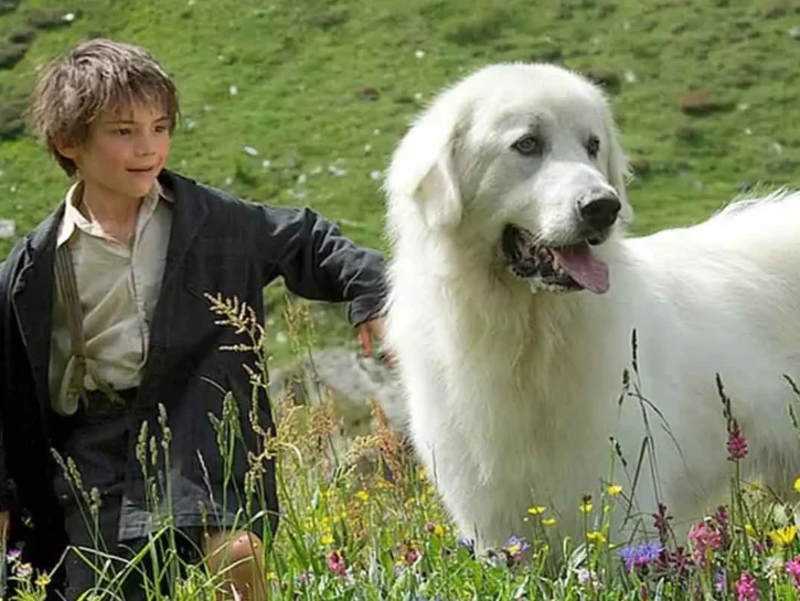 Va bene i film e i romanzi di 