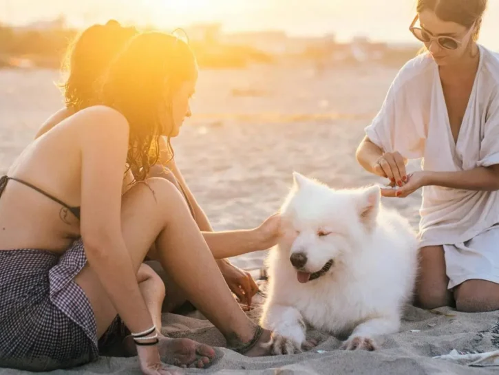 Spiagge pet-friendly, le più attrezzate in Italia