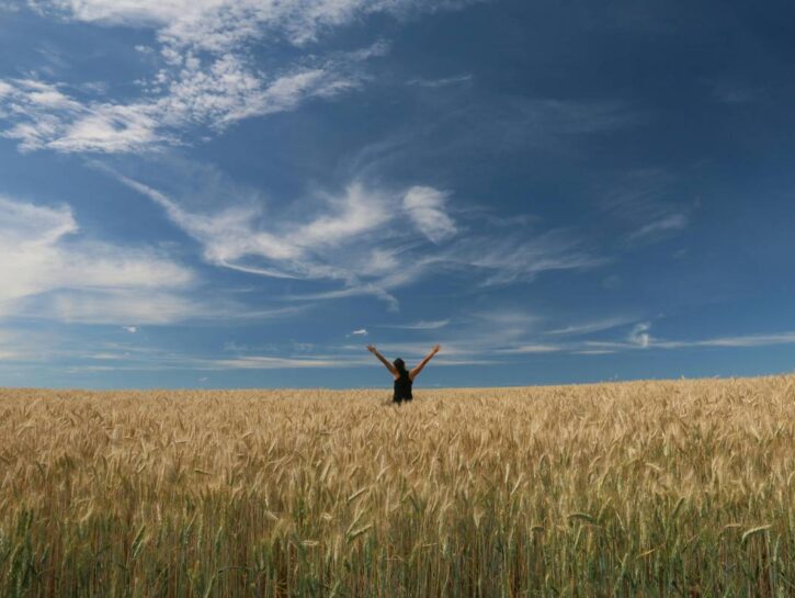 Vitamina D, quando prenderla: orari e abbinamenti giusti