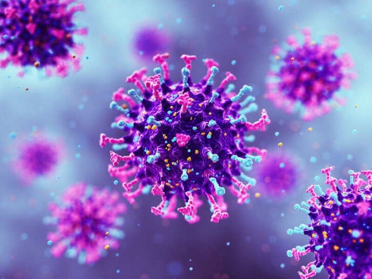 Hantavirus: le risposte alle nostre paure