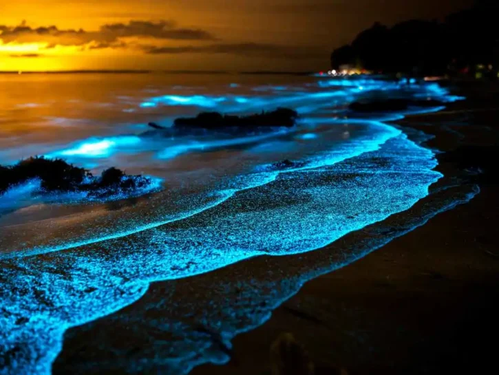 Bioluminescenza: in questi luoghi il mare brilla di notte
