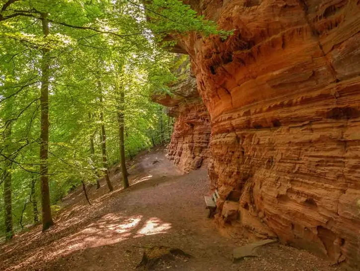 Trekking: dalla Polonia all'Italia, alla scoperta del Sentiero del Lupo