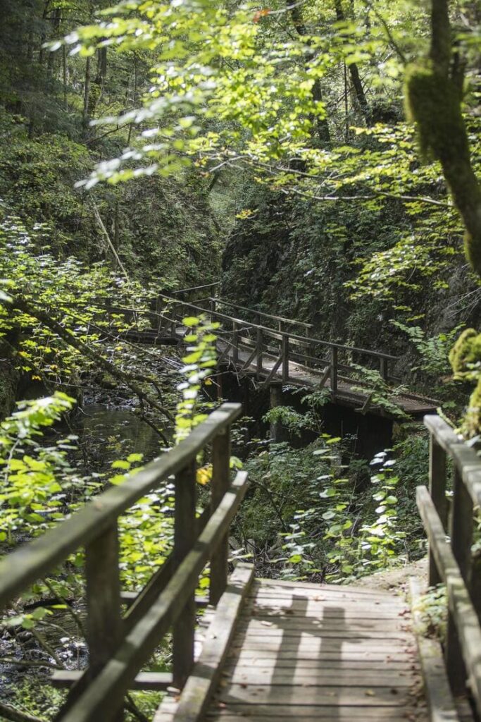 Parco nazionale Risnjak, Gorski Kotar