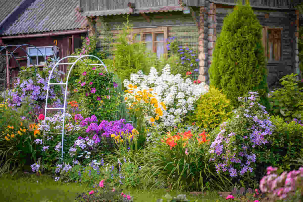 Giardino con piante