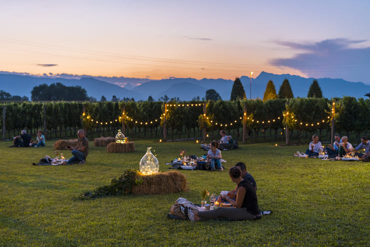 friuli venezia giulia enogastronomia