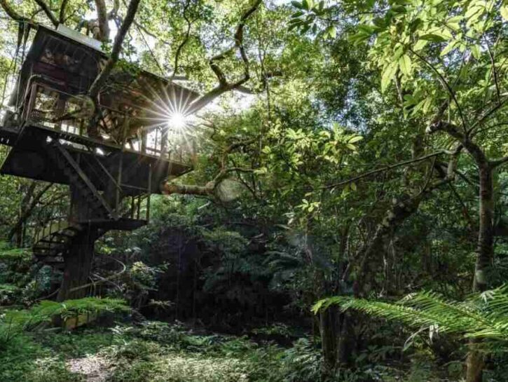 Il giro del mondo, da una treehouse all’altra