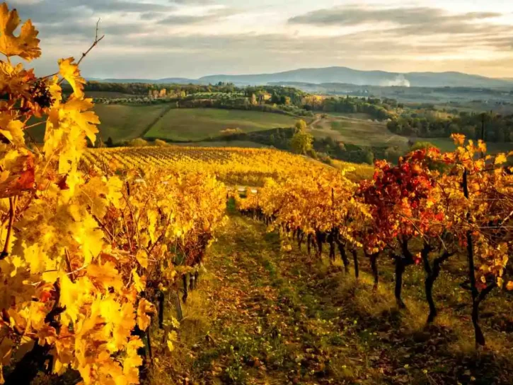Vendemmia in Toscana: i borghi del Chianti da scoprire a settembre e non solo per il vino