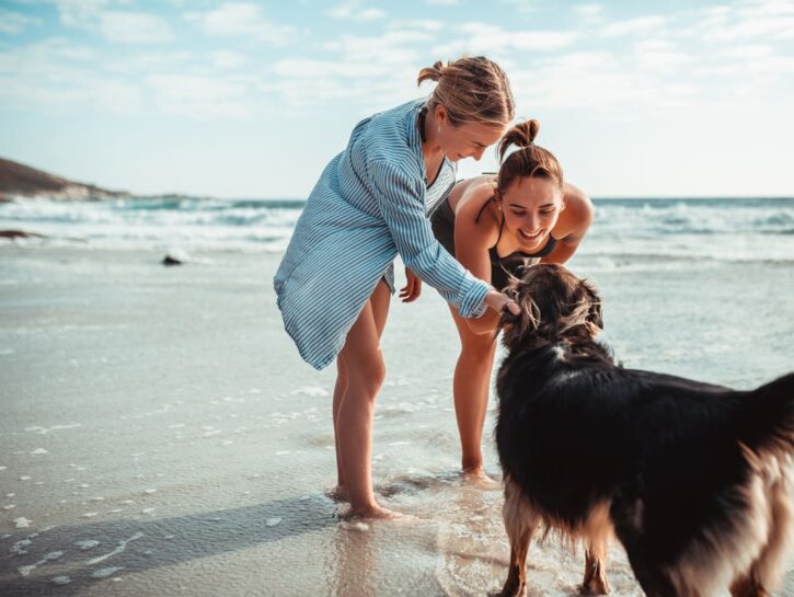 Con il cane al mare: la checklist completa per una giornata senza pensieri