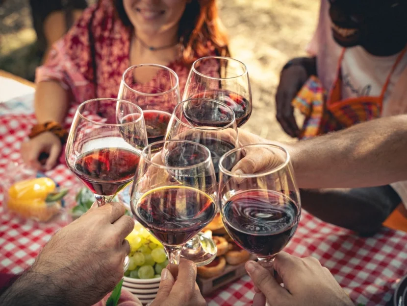 In primo piano calici di vino rosso durante il brindisi, sotto una tovaglia a quadri e le mani delle persone