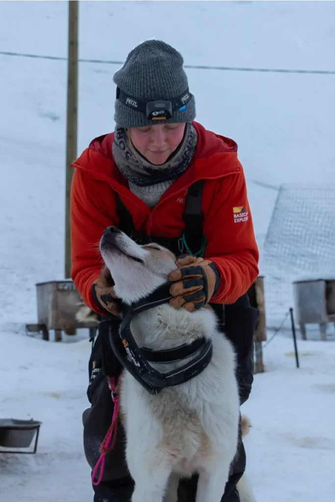 Marta Paludetto, guida di sleddog, prepara i cani per un’escursione con le slitte