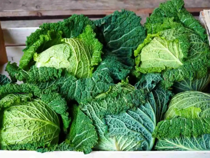 Calcio utile per denti e ossa, mangia questi alimenti e soddisferai il tuo organismo