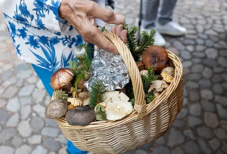 un cestino di funghi freschi misti