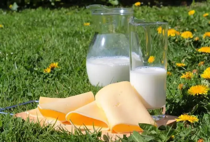 una brocca e un bicchiere di latte in un prato