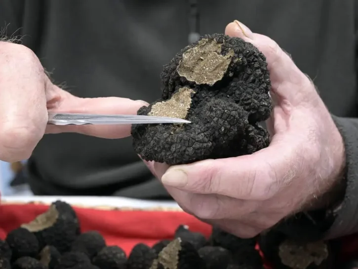 Funghi e tartufo, ecco perché l'autunno è il periodo migliore per questi pregiati alimenti