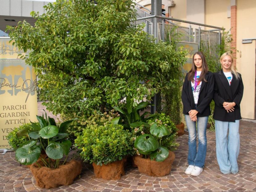 L’angolo verde di Floricoltura Bariani Agostino