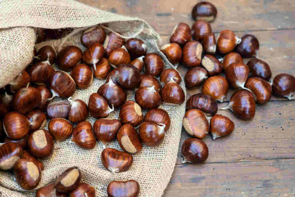 castagne
