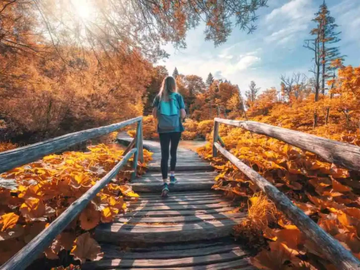 Sai cos'è il foliage? Non perderti questa meraviglia della natura (non solo in Europa)