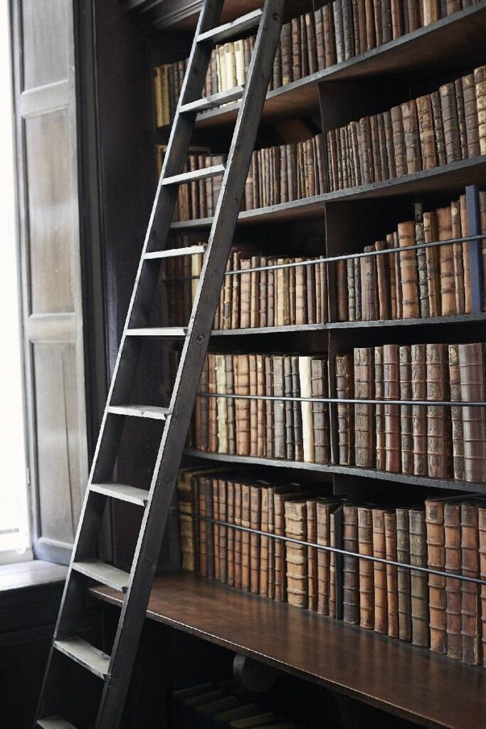 libri nella Marsh Library