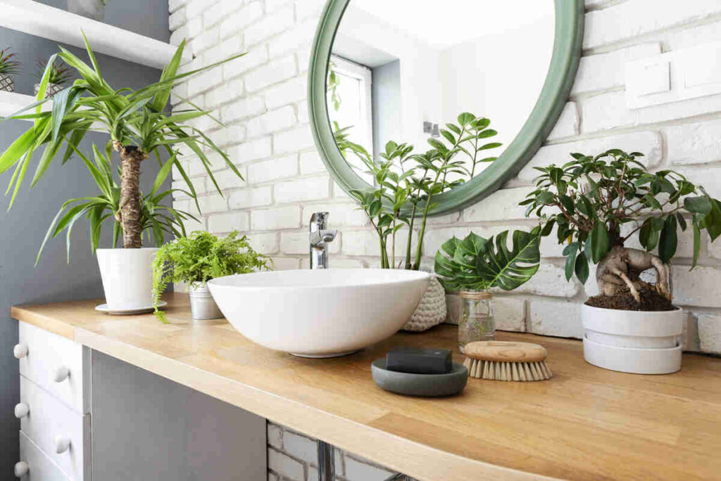lavandino bagno con piante