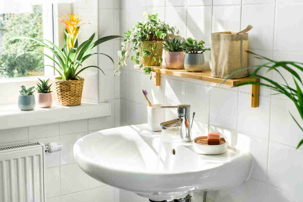 lavandino e piante da bagno