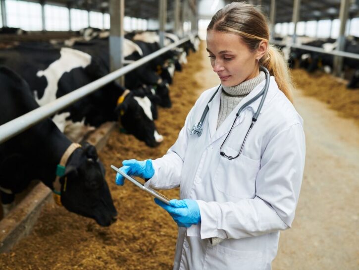 Virus Shamonda, nuovi casi tra gli animali in Italia: cosa sappiamo davvero