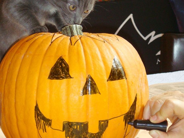 Come Fare La Zucca Di Halloween Donna Moderna