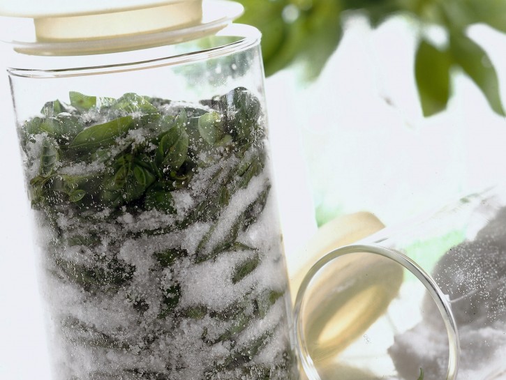 Come Conservare Il Basilico Donna Moderna