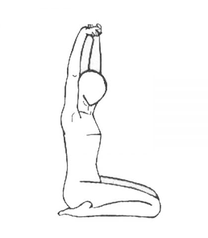 <p> La postura precedente è di preparazione a questa. È sufficiente separare i piedi per lasciare posare i glutei al suolo. Se è possibile, metti conserva le ginocchia vicine, ma se questo è troppo difficile metti un cuscino tra i piedi per sedere più comodamente.<br /> mantieni la colonna vertebrale ben raddrizzata e, inspirando, solleva la braccia per intrecciare le dita delle mani rovesciate verso il cielo.<br />Respira profondamente approfittando di ogni inspirazione per allungare la colonna vertebrale in modo fluido</p>