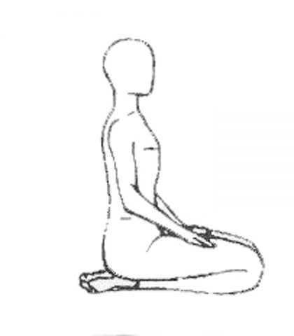 <p> Siedi sui piedi senza sormontarli, busto diritto, mani sulle cosce, spalle ben aperte.<br />Sei respirazioni ampie, con il flusso dell'aria che entra dalle narici con regolarità e a lungo e nello stesso modo il flusso espiratorio esce dalle narici a lungo e senza sussulti, sono sufficienti per creare calma e rendere di qualità il respiro</p>