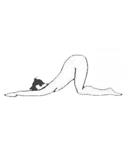 <p> Siedi sui piedi con la fronte a terra e le bracci stese accanto alla testa. Le braccia devono essere parallele e le mani sono alla stessa distanza delle spalle.<br /> Ora lentamente solleva il bacino allontanandolo dai piedi mentre, contemporaneamente, le mani e la fronte scivolano verso l'avanti.<br /> Fai attenzione a non piegare i gomiti, le braccia sono rigorosamente stese.<br />Arresta lo scivolamento delle braccia quando il bacino sarà ben sollevato e le cosce saranno perpendicolari al pavimento. Resta nella posizione il tempo di qualche ampio respiro, sentendo l'aria che allarga il torace per avvicinarlo verso il pavimento</p>