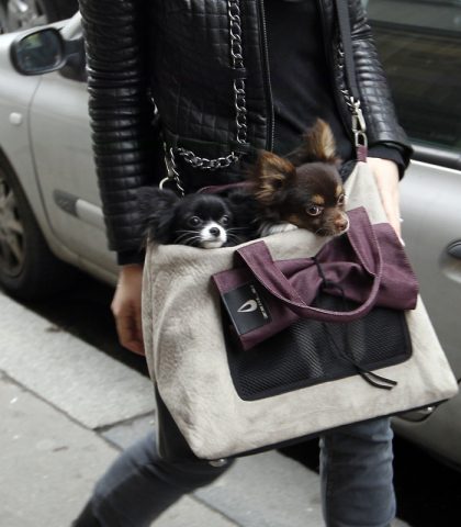 Mal di schiena? Alleggerisci la borsa | Donna Moderna